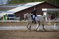 IMG_1516