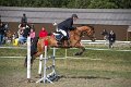 IMG_3131