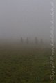 IMG_6071