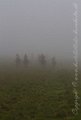 IMG_6073