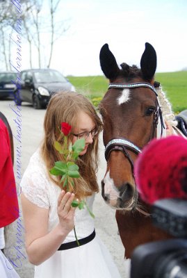 IMG_1575