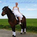 IMG_1602