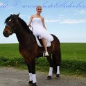 IMG_1603