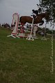 IMG_0682