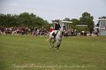 IMG_0690