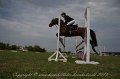 IMG_0324