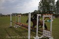 IMG_0338