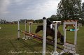 IMG_0339