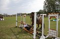 IMG_0346