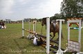 IMG_0347
