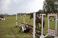 IMG_0348
