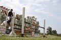 IMG_0368