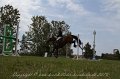 IMG_0437