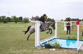 IMG_0489