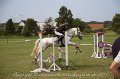 IMG_0287