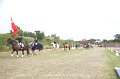 IMG_0791
