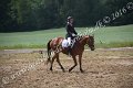 IMG_3348