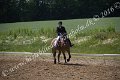 IMG_3372