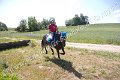 IMG_3490
