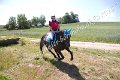 IMG_3491