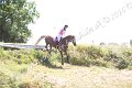 IMG_3532