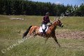 IMG_3708
