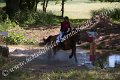 IMG_3740