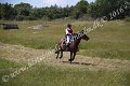 IMG_3746