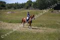 IMG_3800