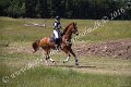 IMG_3802