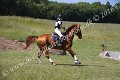 IMG_3806
