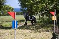 IMG_3868
