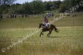 IMG_3878