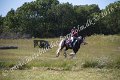 IMG_4112