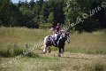 IMG_4115