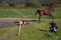 IMG_7855