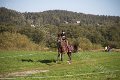 IMG_7984