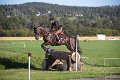IMG_8019