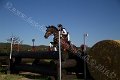 IMG_8100