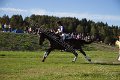 IMG_8117