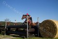 IMG_8138