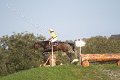 IMG_7525