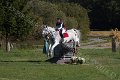 IMG_7561