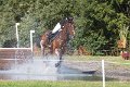 IMG_7667