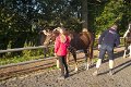 IMG_8352