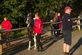 IMG_8355