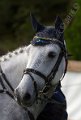 IMG_8601