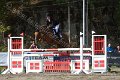 IMG_9201