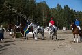 IMG_9371