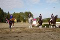 IMG_9936